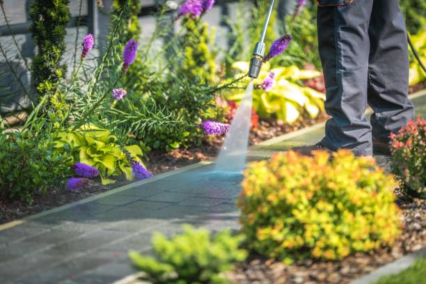 Mill City, OR Pressure Washing Services Company