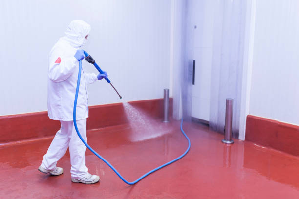 Best Spring Cleaning  in Mill City, OR