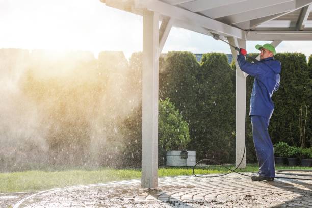 Best Building Exterior Washing  in Mill City, OR